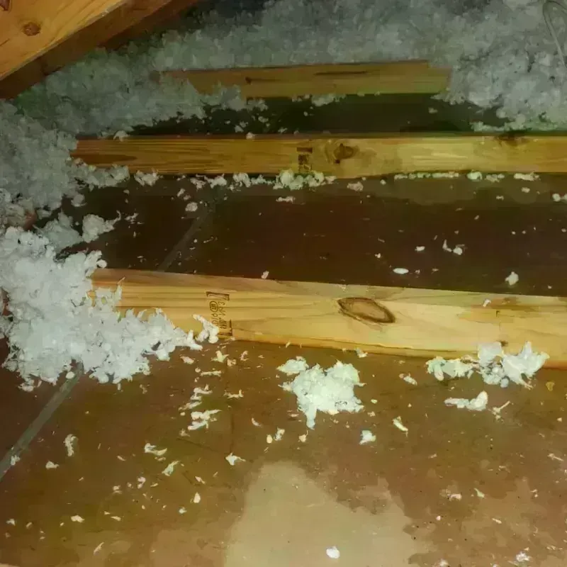 Attic Water Damage in Worth County, MO