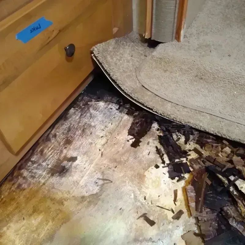 Wood Floor Water Damage in Worth County, MO